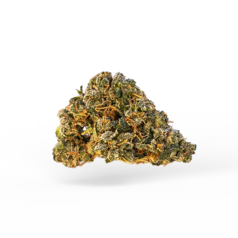 White Poison Flower
