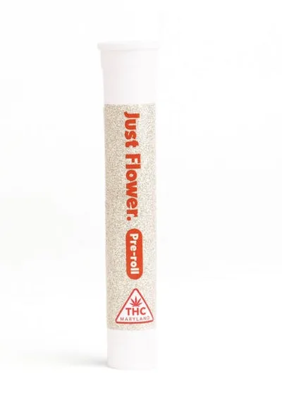 Goofies Pre-Roll | 2 x 0.5g