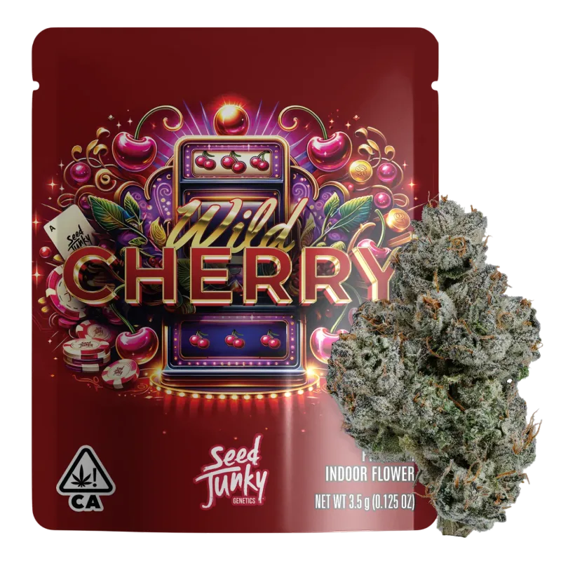 Wild Cherry Flower