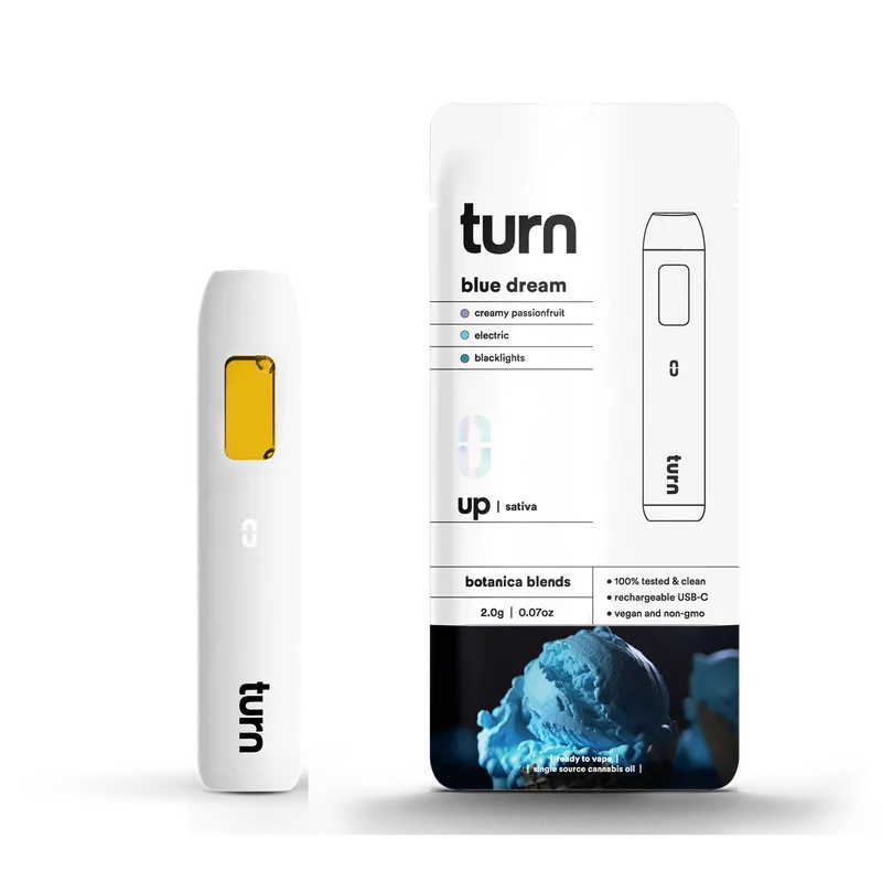 Turn TURN UP All-In-One Disposable 2g - Hot Girl Summer