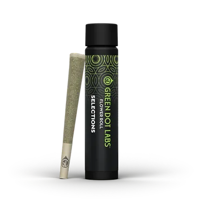 Kashmir Preroll