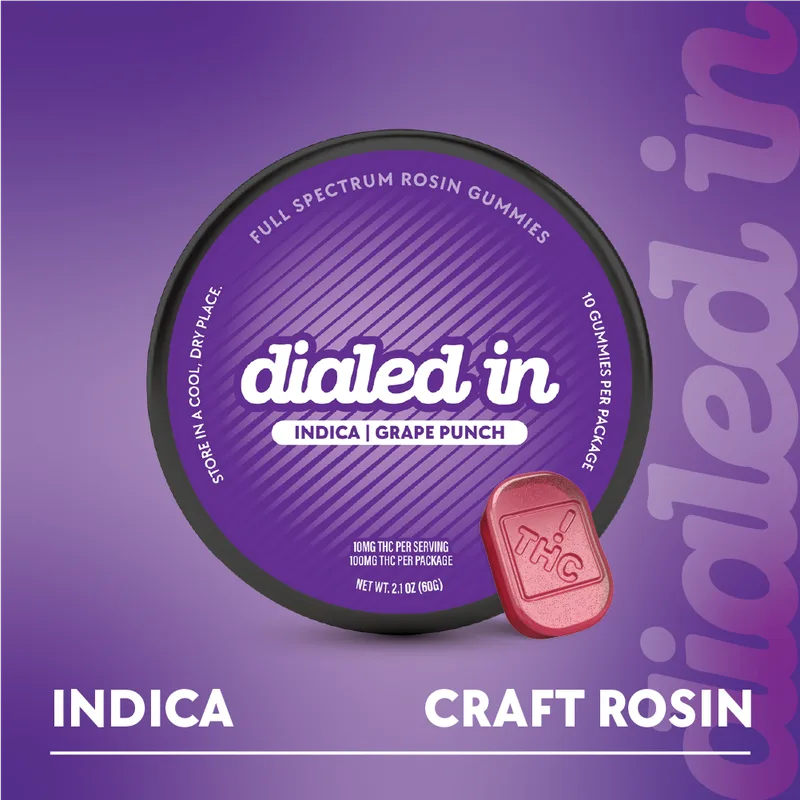 Dialed In Gummies Rosin 100mg THC - Grape Punch