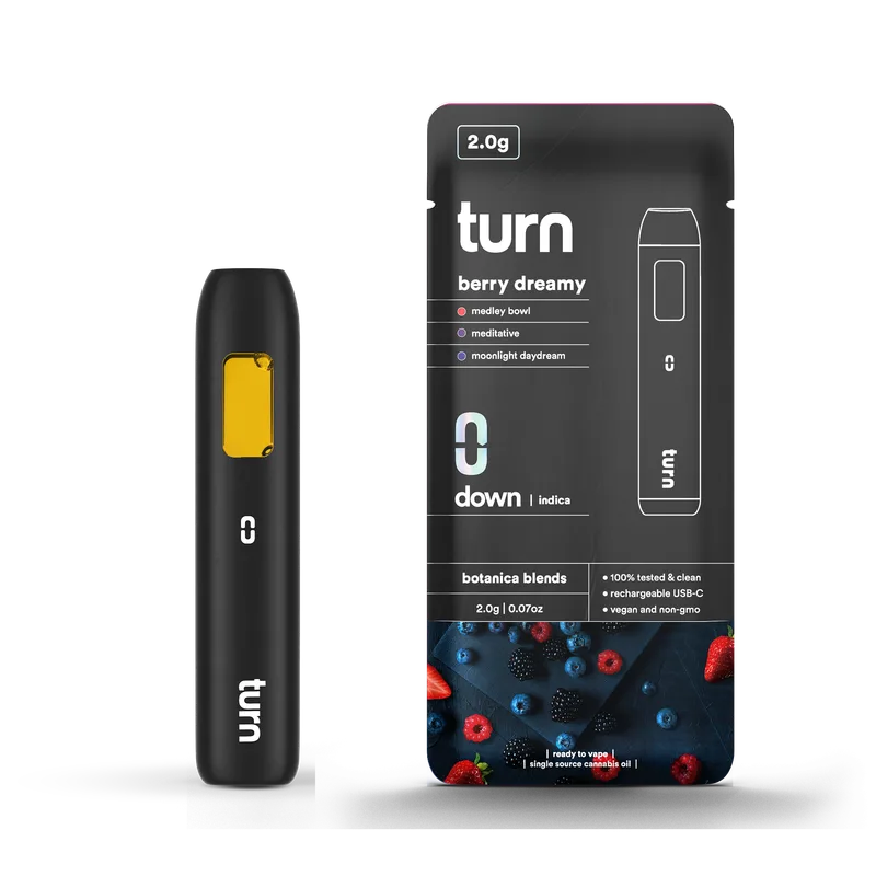 Turn TURN DOWN All-In-One Disposable 2g - Mango x Guava