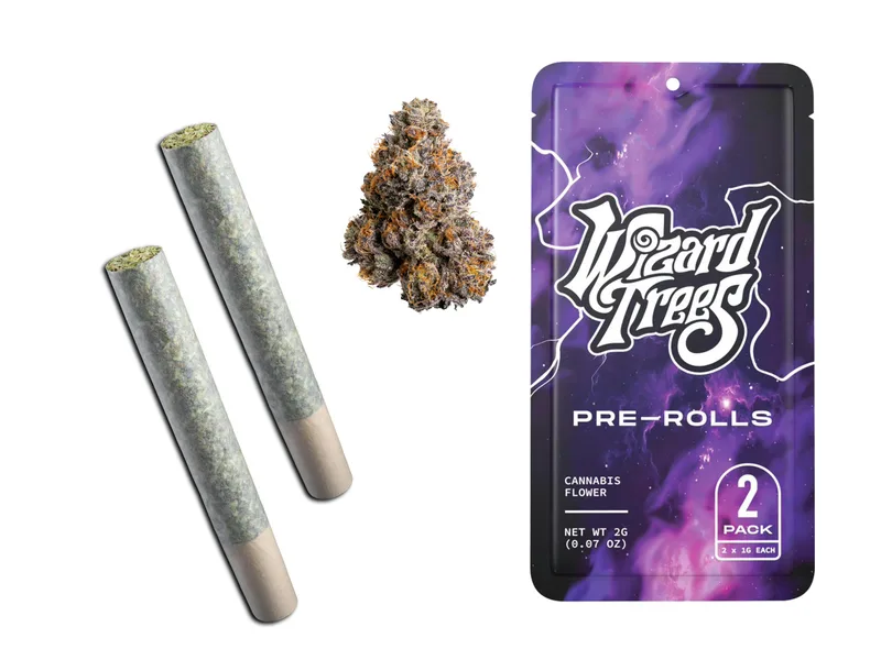 Jungle Juice Pre-Roll | 2 x 1g