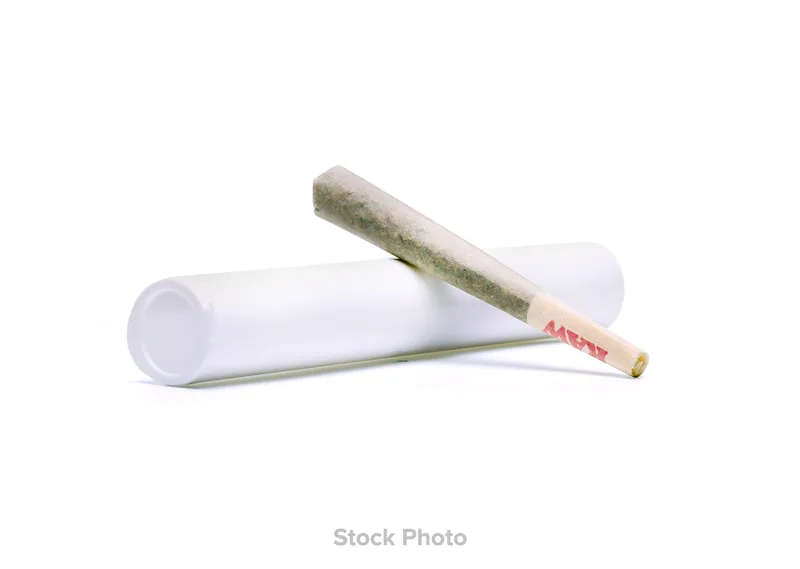 Diablo 0.5g Infused Pre-Roll - Private Room Punch