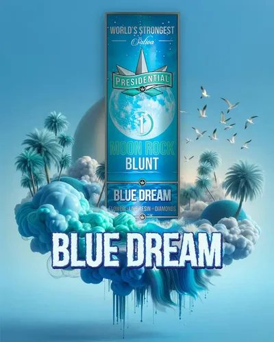 Blue Dream Live Resin Infused Moon Rock Blunt